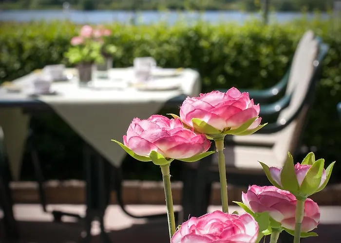 ホテル Elbblick Garni ゲーストハッハト